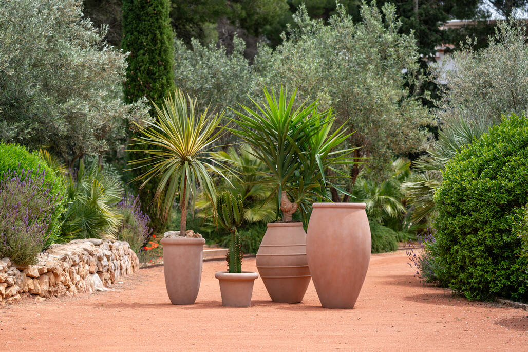 Amphora L, soft clay