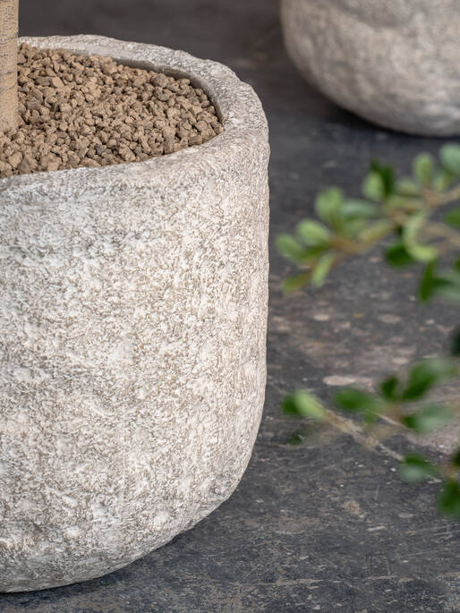 Mesa L, Fossil Sand