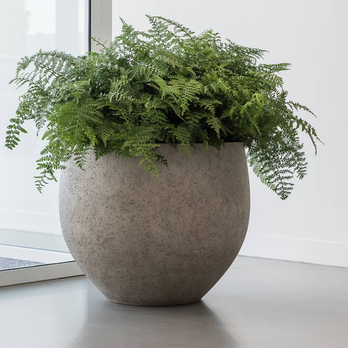 Jumbo Orb Urban beige washed (USA)