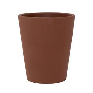 (S) Rosa M, Pecan Brown