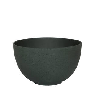 (S) Peter S, Pine Green