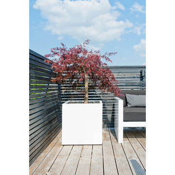 Block S, Glossy White