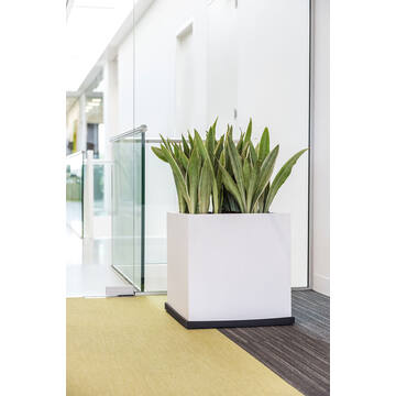 Block M, Matte White