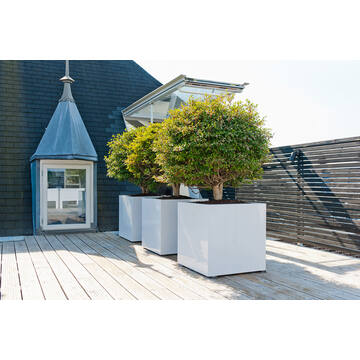 Block L, Glossy White