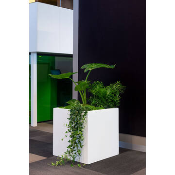 Block XXL, Matte White