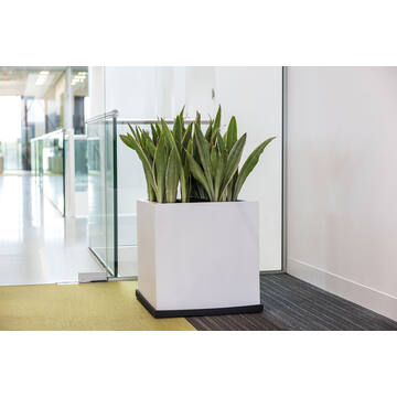 Block XXL, Matte White