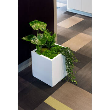 Block XXL, Matte White