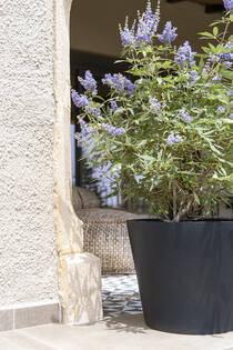 Bucket M, Black