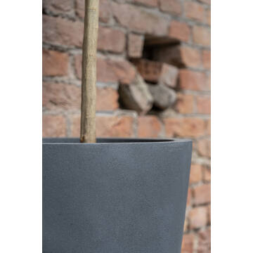 Belle L, Grey