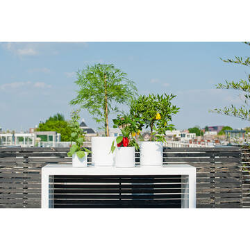 Max L, Glossy White