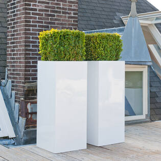 (S) Bouvy XXL, Glossy White