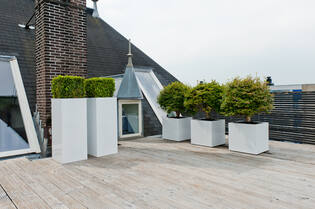 Bouvy M, Glossy White