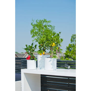 Puk S, Glossy White