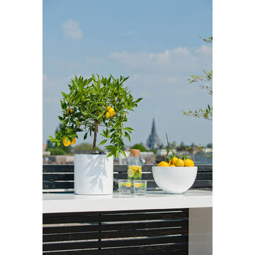 Puk L, Glossy White