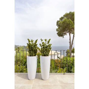 Dax XL, Glossy White