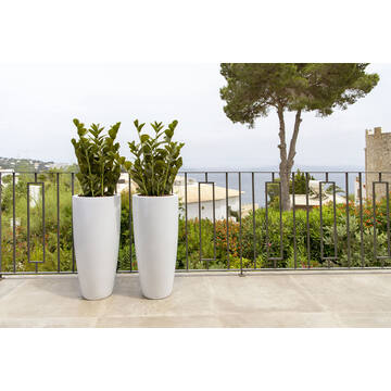 Dax XL, Glossy White