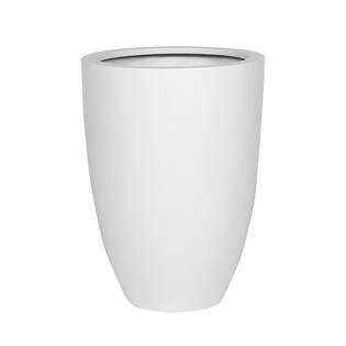 Ben XL, Matte White