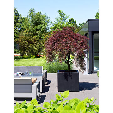 Jumbo XL, Black