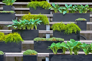 Balcony XS, Black