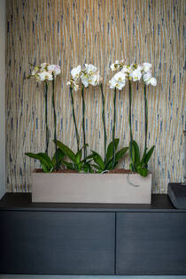 Balcony XL, Taupe