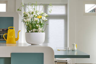 Sunny L, Matte White