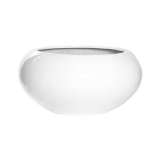 (S) Cora M, Glossy White