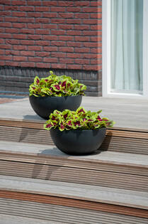 Vic Bowl L, Black