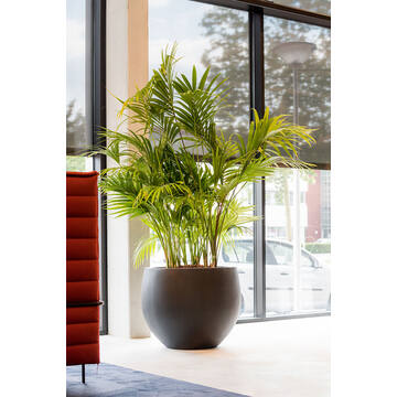 Jumbo Orb M, Black