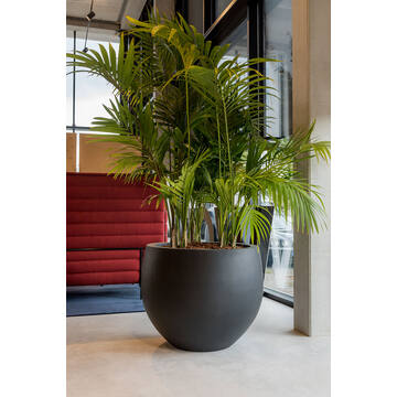 Jumbo Orb S, Black