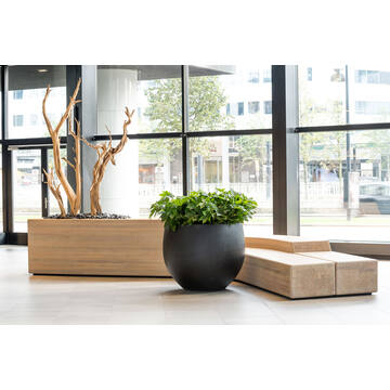 Jumbo Orb S, Black