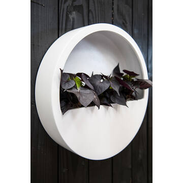 Wally (hanging) M, Matte White