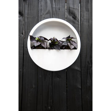 Wally (hanging) M, Glossy White
