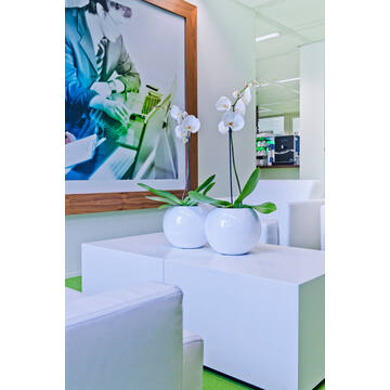 Beth XS, Glossy White