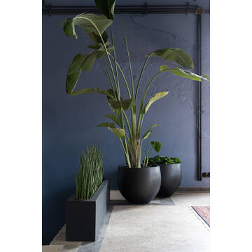 Orb S, Black