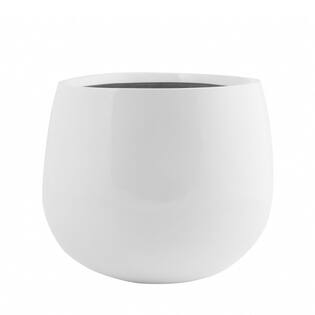 Kevan M, Glossy White