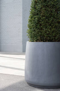 Jumbo Patt M, Grey