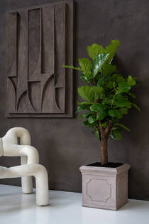 Block Classic M, Taupe