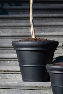 Bucket Low Classic S, Black