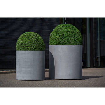 Boxwood XS, Green