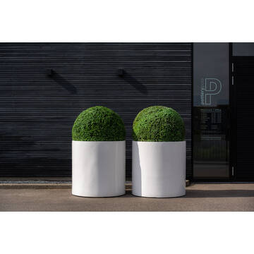 Boxwood Round S, Green