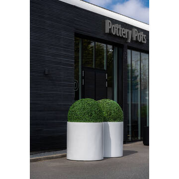 Boxwood Round M, Green