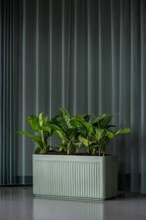 Jort Linea M, Sage Green