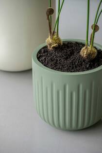Arcus S, Sage Green