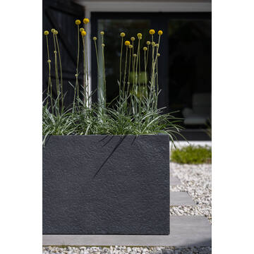 Jort M, Midnight Black