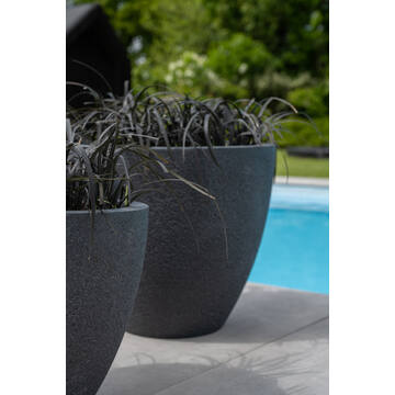 Jesslyn M, Midnight Black