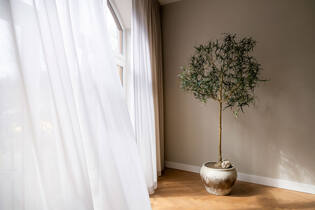 Nendo XL, Smoky umber