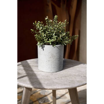 Max M, Grey Washed