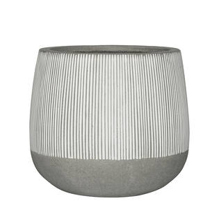 Pax S, White stripe