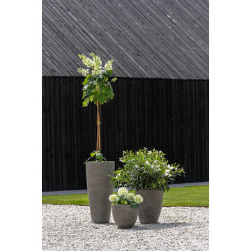 Dax XL, Diorite Grey