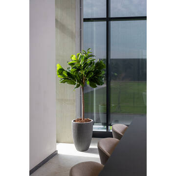 Ben L, Dark Grey (vert. ridg.)